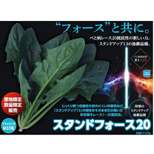 V9{ȍ~ח\zE\Ey@X^htH[X20(117A)@z igc