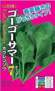 zE\Ey@S[S[T}[7@z igc