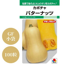 〈GF小袋・100粒〉カボチャ種子【　バターナッツ　】タキイ種苗