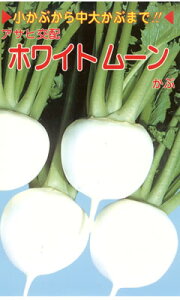 カブ種【 ホワイトムーン 】3.8ml (栽培用 種子 かぶ カブ アサヒ)