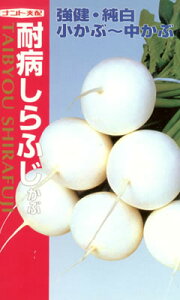 カブ種耐病しらふじかぶ 蕪(ナント種苗)