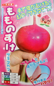 〈小袋・20ml・1dL〉カブ種【　もものすけ　】ナント種苗