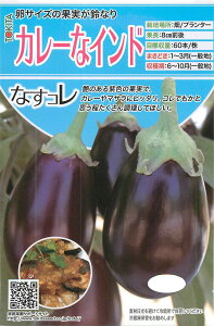 iXy@J[ȃCh@zi͔|p q gL^cj