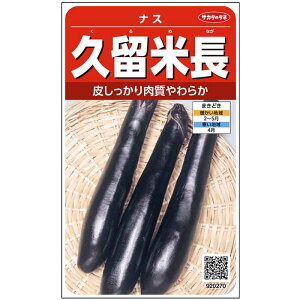 iXy@vĒ@z珬܁@TJ^̃^l