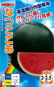 藦ۏ؊9܂ŏʃXCJy@Ȃ@zigc