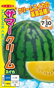 q܁E200rʃXCJ y@T}[N[@zigc