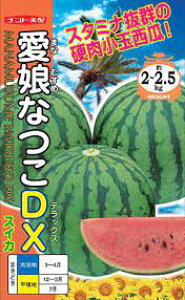 V11`\菬ʃXCJy@ȂDX@zigc