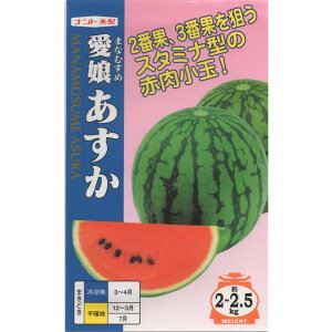 V10ȍ~ח\菬ʃXCJy@@zigc