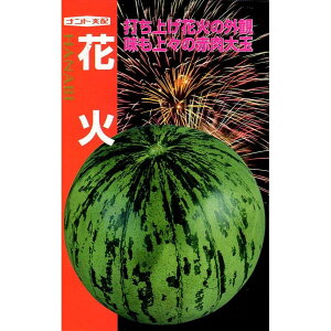 V11ȍ~ח\ʃXCJ y@ԉ΁@zigc