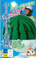 ※発芽率保証期限2026年9月末まで大玉スイカ種 【　クールチャージ潤　】ナント種苗
