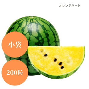 藦ۏ؊11܂ŒʃXCJ y@IWn[g@za_