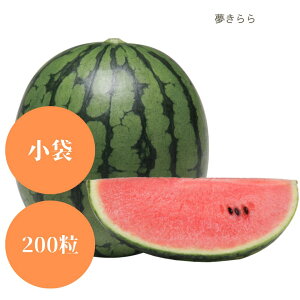 藦ۏ؊11܂őʃXCJ y@@za_