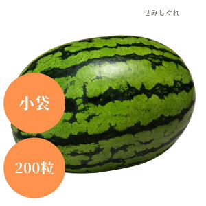 q܁E200rʃXCJ y@݂@za_