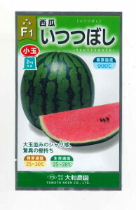 ʃXCJ y@ڂ@za_
