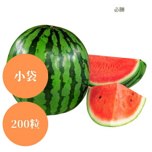 藦ۏ؊11܂őʃXCJ y@K@za_