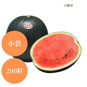 藦ۏ؊11܂őʃXCJ y@喂_@za_