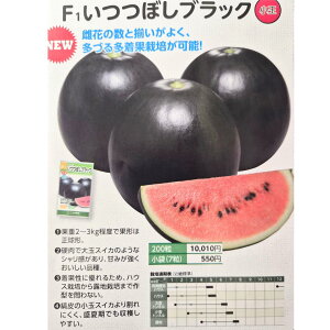 Vi@ʃXCJ y@ڂubN@za_