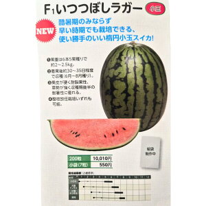 Vi@12׌㔭(ėp)@ʃXCJ y@ڂK[@za_