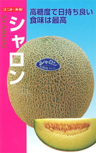 V11ȍ~ח\胁y@V@zigc
