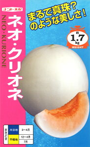 V11ȍ~ח\胁y@lIENIl@zigc
