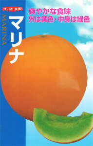 V11ȍ~ח\胁y@}i@zigc