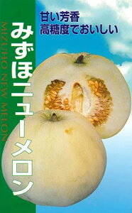 V11ȍ~ח\胁y@݂كj[@zigc