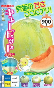 V11ȍ~ח\胁y@L[sbg@zigc