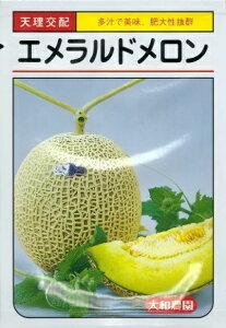 藦ۏ؊11܂Ńy@Gh@za_