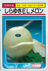 q܁E100ry@䂫EL@za_