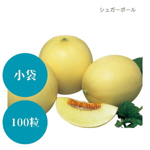 q܁E100ry@VK[{[@za_