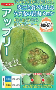y@Abv[@zi͔|p q ߂ Z Ejigc