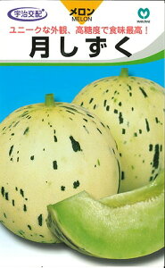 ※新種12月以降入荷予定メロン種【 月しずく 】(栽培用 種子 丸種 )