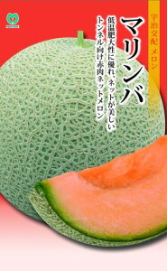 V12ȍ~ח\胁y@}o@zi͔|p q ێ j