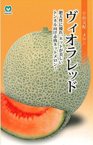 y@BIbh@zi͔|p q ێ j