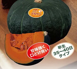 q100E500rJ{`y@nj[uE@zigc