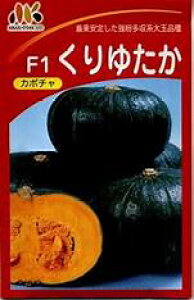 q܁E100E500rJ{`y@䂽@ziB݂ǁj