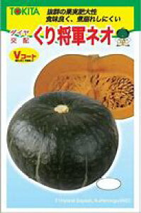 藦ۏ؊10܂ŃJ{`y@菫RlI@zi͔|p q gL^cj
