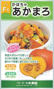 �J�{�`����y�@F1�����܂�@�z��a�_��