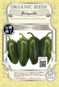 L@qy@ny[j@z i͔|p q ʍ؁j