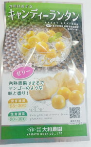 ほおずき 種の人気商品 通販 価格比較 価格 Com ほおずき 種の人気商品 通販 価格比較 価格 Com