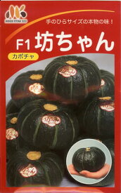 ミニカボチャ種【　F1 坊ちゃん　】小袋 （栽培用 種子 かぼちゃ 南瓜 みかど）（品種名：くり坊）