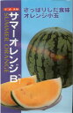 〈小袋・200粒〉小玉スイカ種【　サマーオレンジB（ベビー）】 ナント種苗