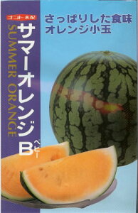V10ȍ~ח\菬ʃXCJy@T}[IWBixr[jz igc