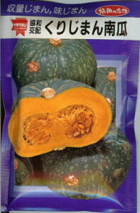 J{`y@肶܂@z i͔|p q ڂ Z ݂ǁj