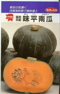 J{`y@F1@z100 i͔|p q ڂ Z ݂ǁj