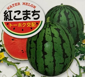 スイカ 種の人気商品 通販 価格比較 価格 Com