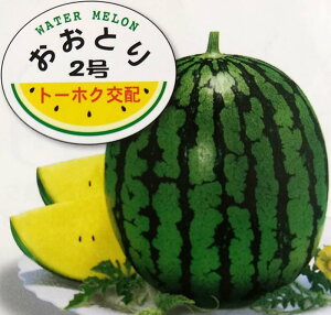 スイカ 種の人気商品 通販 価格比較 価格 Com