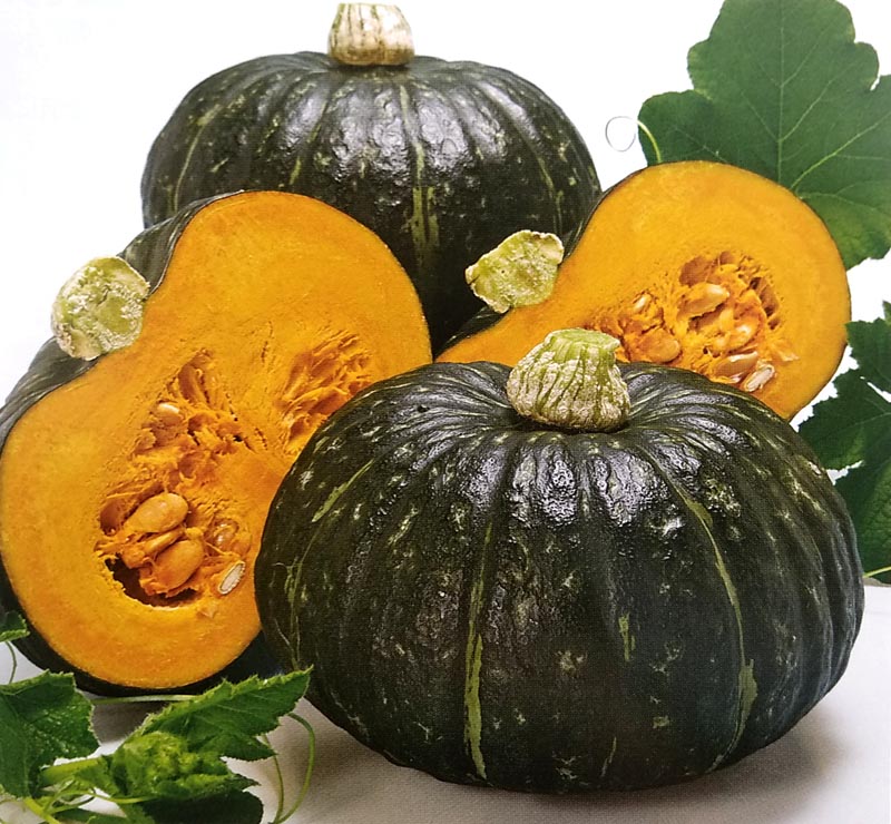 種 かぼちゃの人気商品・通販・価格比較 - 価格.com