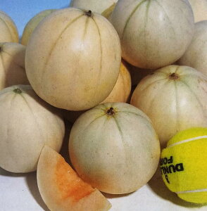 V12ȍ~ח\胁y@킢`i@zDF i͔|p q [Z ~j ^LCj