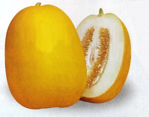 }Ny@Y@zDF i͔|p q ܂키 }NE ^KZ ^LCj